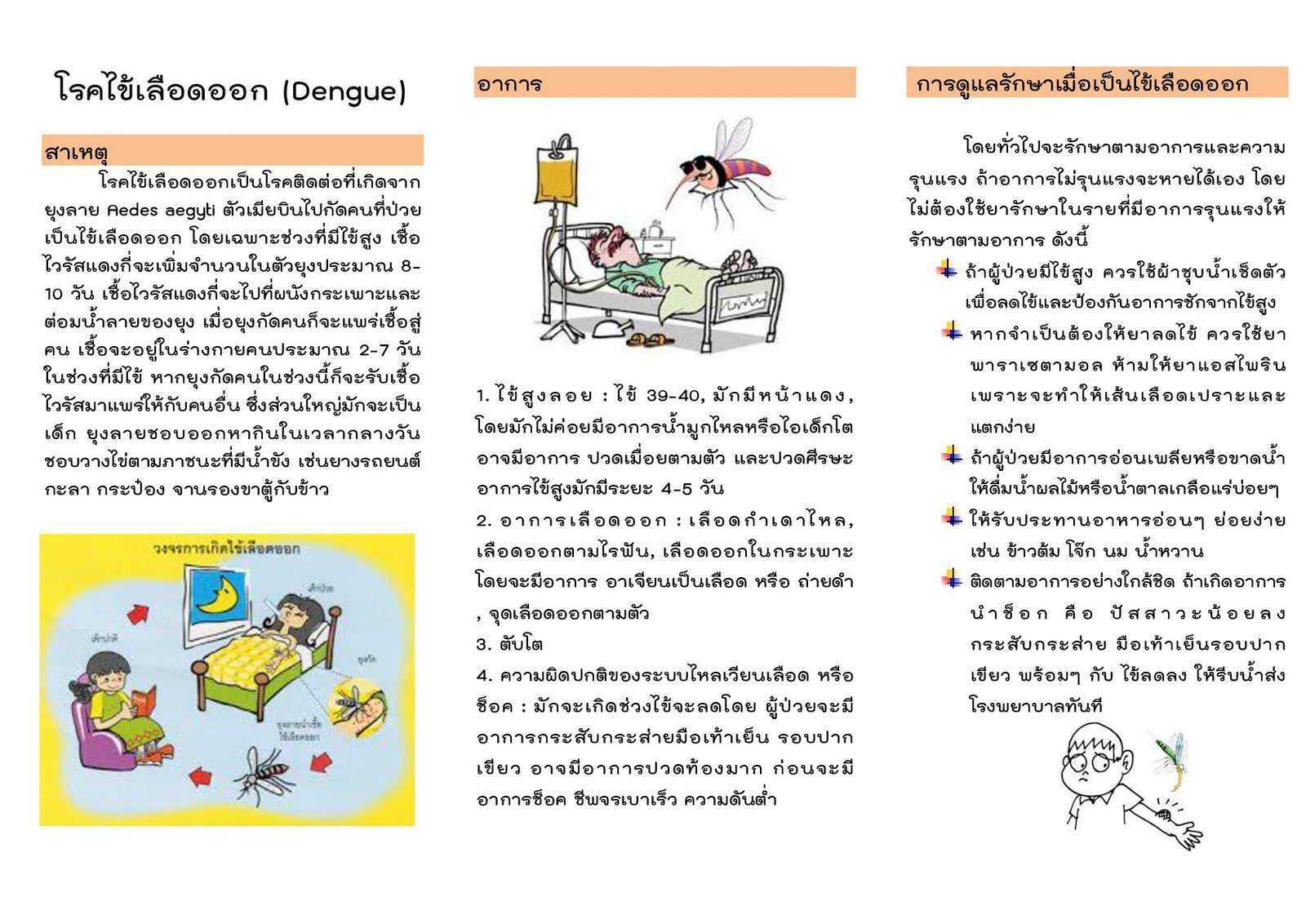 แผ่นพับไข้เลือดออก ลงเว็บ 002